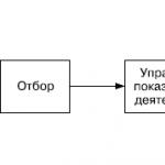 Человеческие ресурсы: определение, управление, особенности