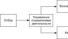 Человеческие ресурсы: определение, управление, особенности